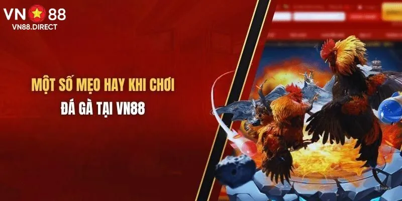 Chia sẻ một số bí kíp chơi đấu chiến kê online hiệu quả