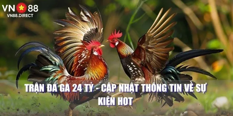 Trận Đá Gà 24 Tỷ - Cập Nhật Thông Tin Về Sự Kiện Hot